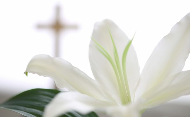 medjunarodni-pogrebni-prevoz-slajd2